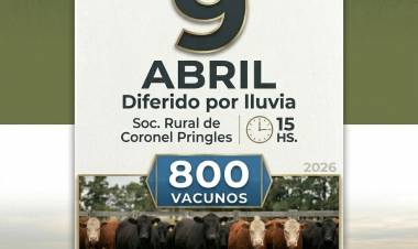 Remate diferido por lluvia en Pringles