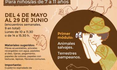 Taller de Narratuva Visual: Expedición Creativa