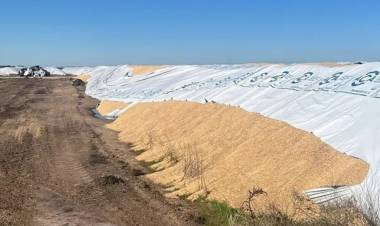 Vandalismo rural: dañaron cinco silobolsas en un predio sobre la Ruta 51