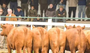 Remate con lotes destacados