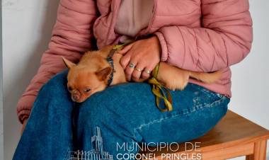 Jornada de Castración Masiva