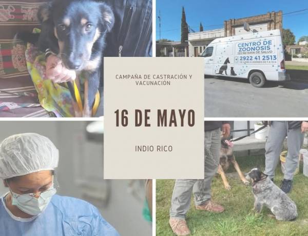 Así se vivió la campaña del 16 de Mayo en Indio Rico