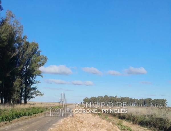 Mantenimiento y alteo de caminos