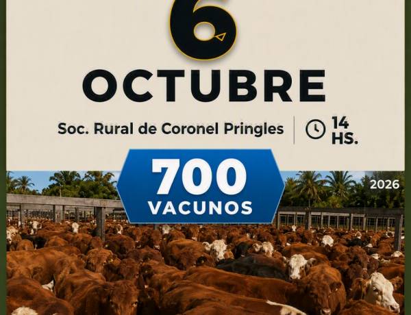Remate Feria con 700 vacunos