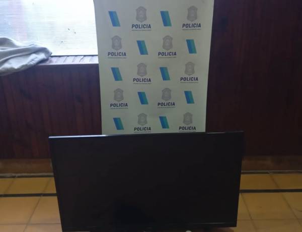 Policial: Aprehenden a un menor por Hurto