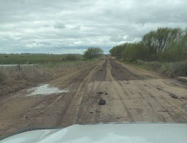 Coronel Pringles: Se labraron actas de infracción por daños en caminos rurales