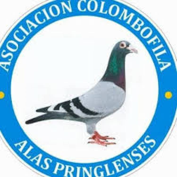 Colombófilas