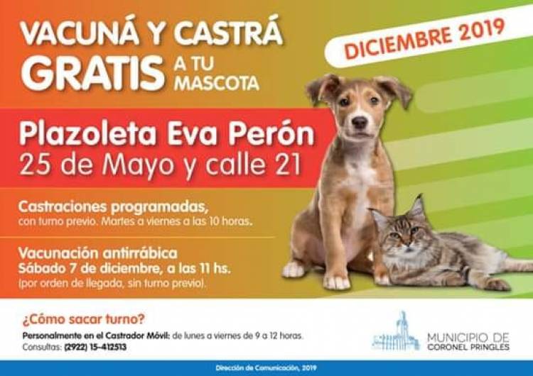 Castrador Móvil en Diciembre