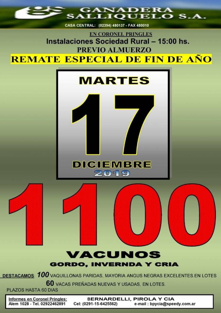 Remate Especial de Fin de Año