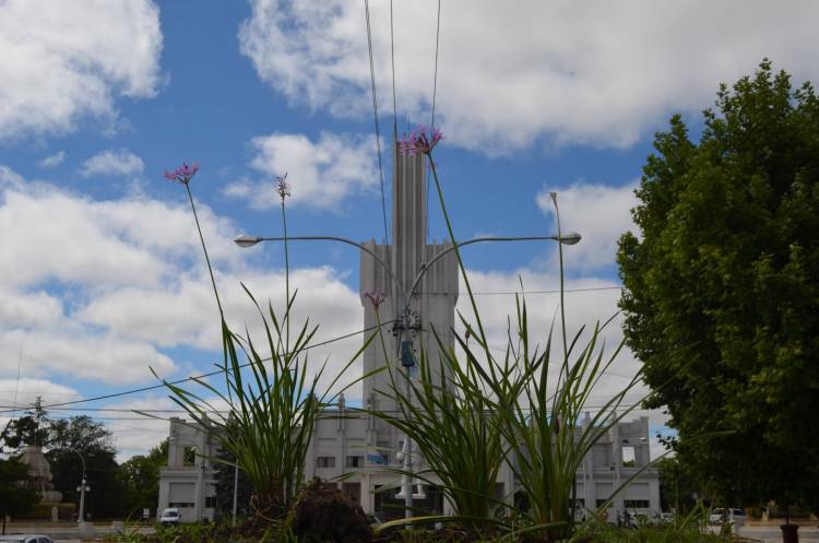 Estamos embelleciendo la ciudad