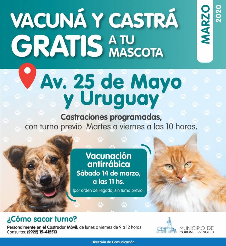 Vacuná y castrá gratis a tu mascota