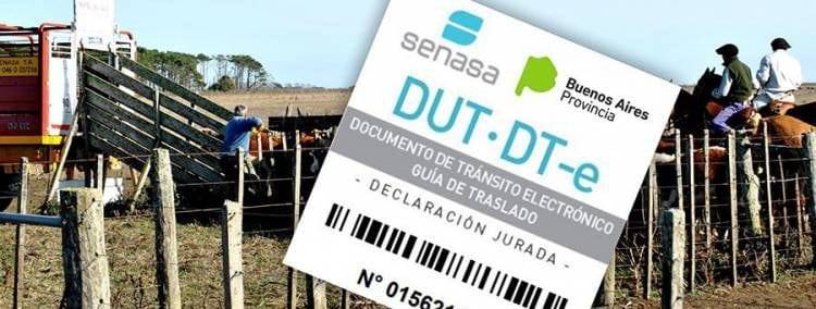 Contacto SENASA tareas a distancia durante cuarentena COVID-19