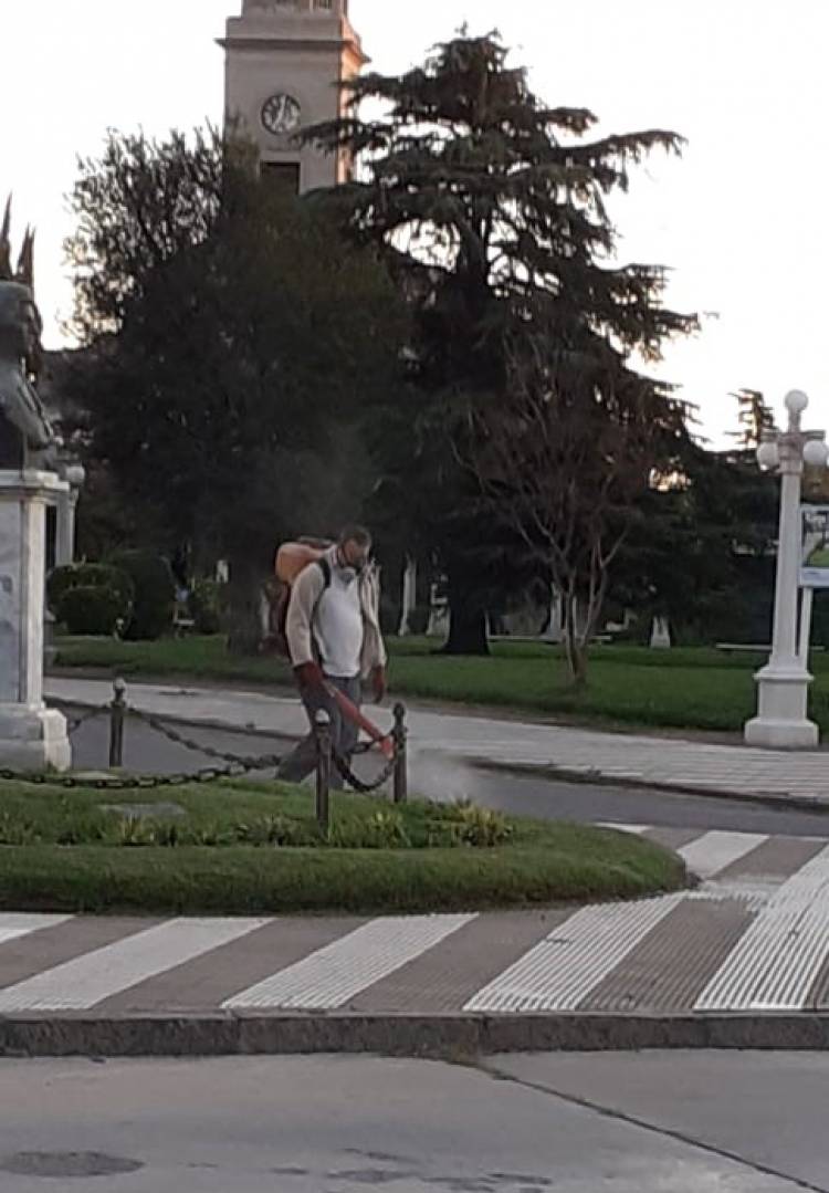 Chau Mosquitos