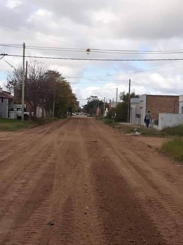 Movimiento de suelo, nivelación, compactación y poda