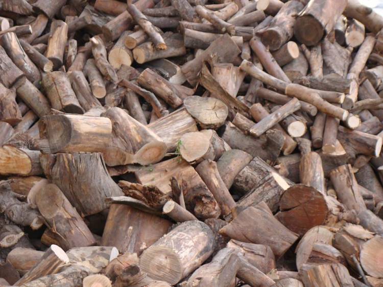 El Banco Municipal de Leña distribuyó más de 127.000 kilos