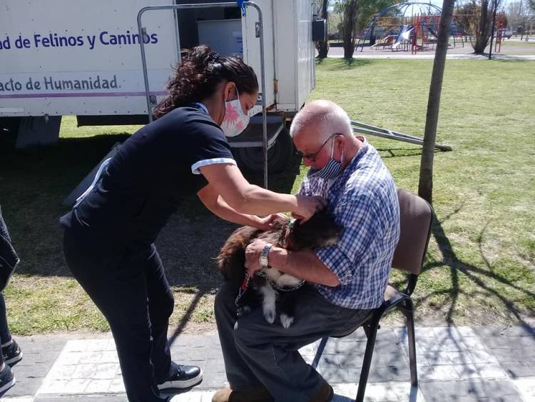 Ciudad: Campaña masiva y gratuita de vacunación antirrábica