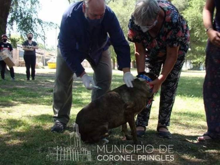 Vacunación Antirrábica en la Plazoleta Eva Perón