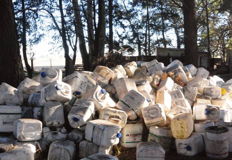 Campaña de Recolección de Envases Vacíos de Fitosanitarios