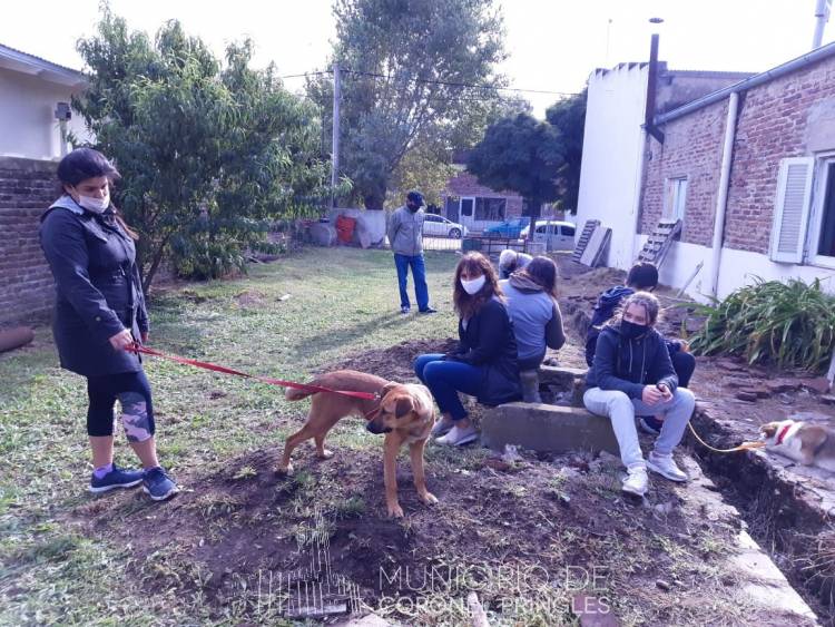Hubo vacunaciones y castraciones en Indio Rico