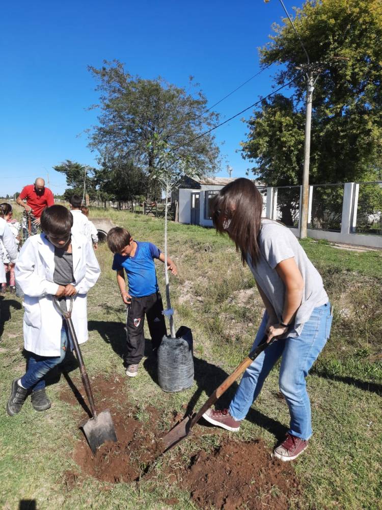 Más verde para la Primaria N°3