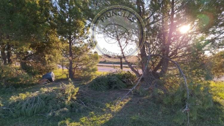 Imágenes que no nos gusta ver en el Club