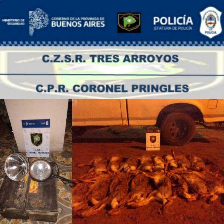Aprehensión y secuestro de arma
