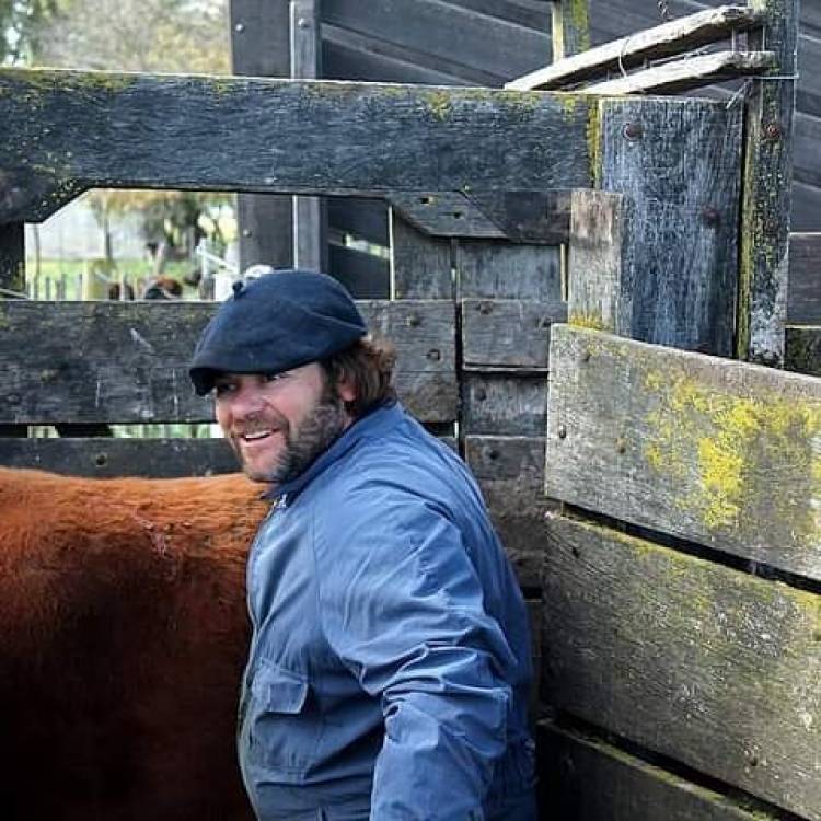 Sarna bovina: qué es y cómo tratarla