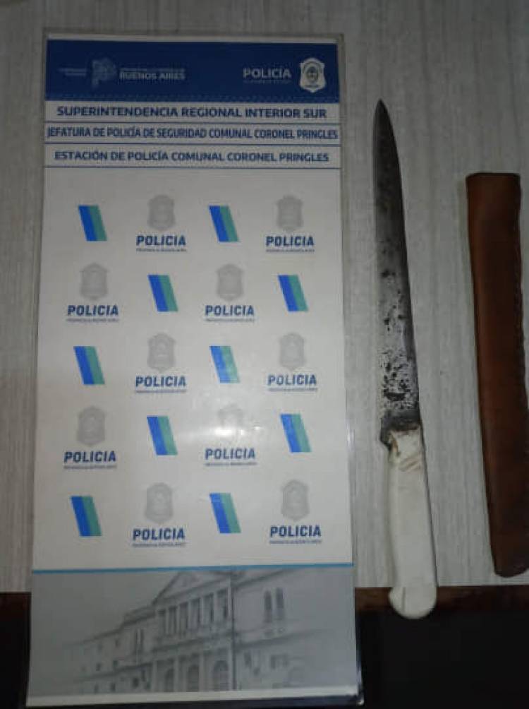 Aprehendido, Hurto y Lesiones