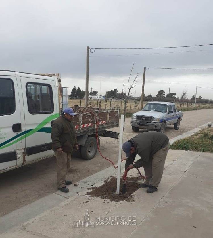 La Comuna comenzó con tareas de relevamiento y arbolado