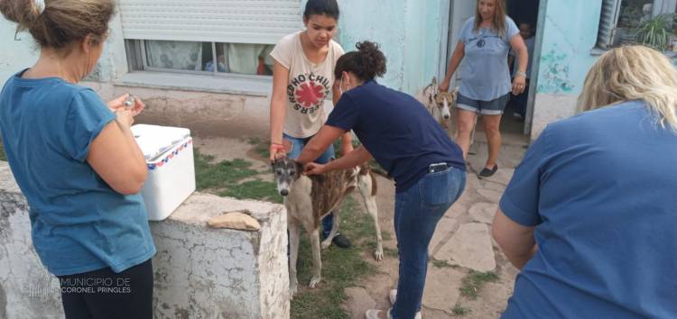 Culminó la vacunación en anillo