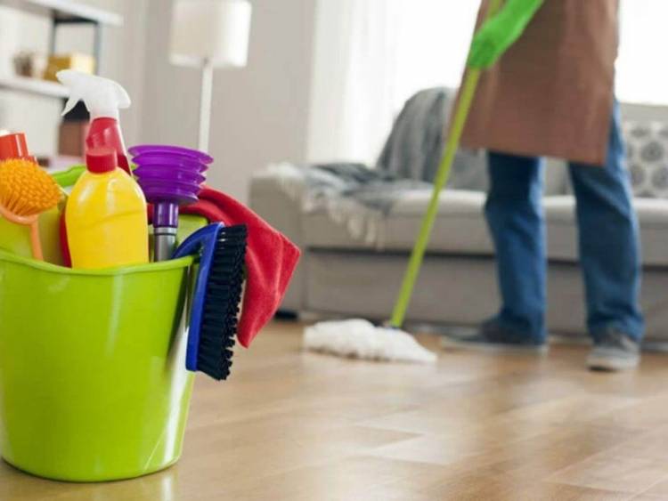 Empleadas Domésticas: a través del Programa Registradas, el Estado abonará hasta el 50? los haberes