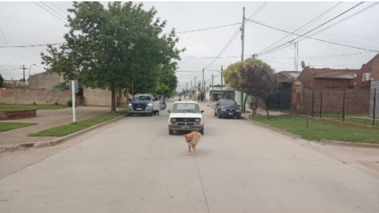 Hurtos, infracción y amenazas