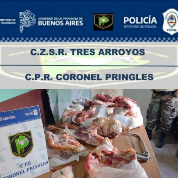 Secuestraron más de 100 kilos de carne robada en Pringles
