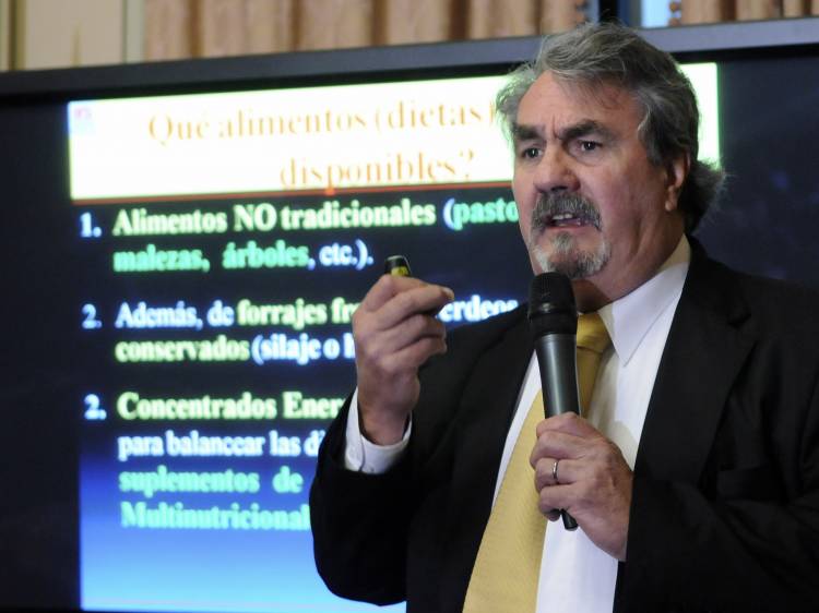 Aníbal Fernández Mayer, por el calor que afecta a la hacienda, dijo ‘la sombra es clave’
