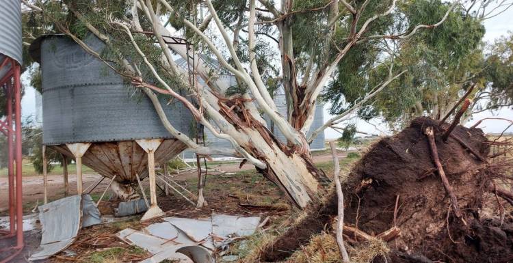 Frapal: Un viento huracanado con lluvia y granizo, sorprendió por su fuerza inusitada
