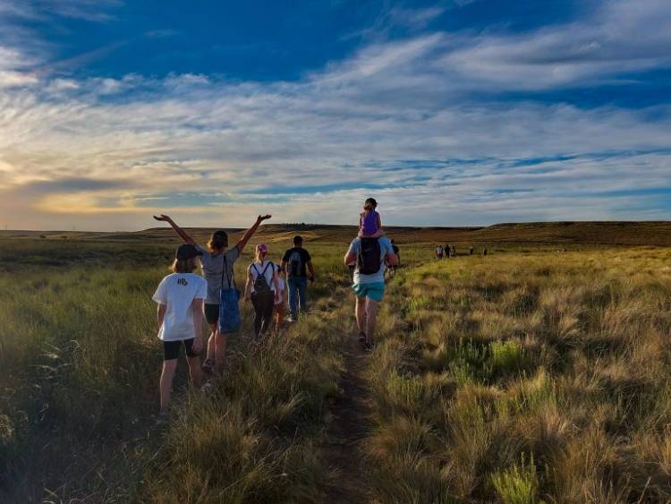 Vida Silvestre a pleno