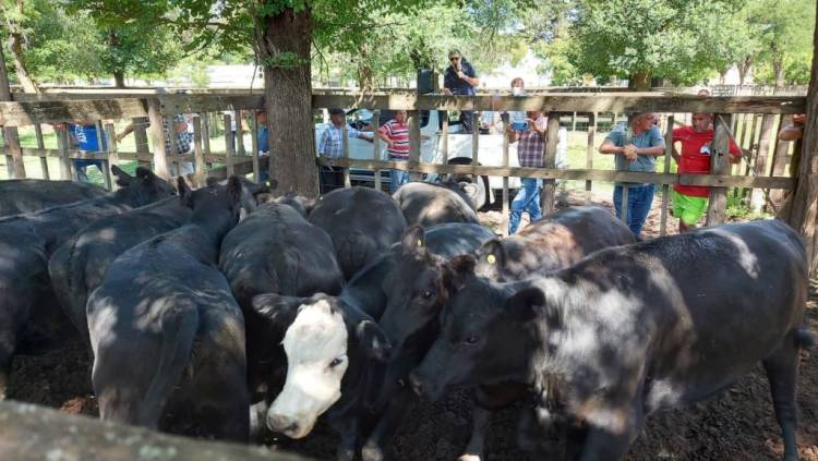 Remate 18° Aniversario