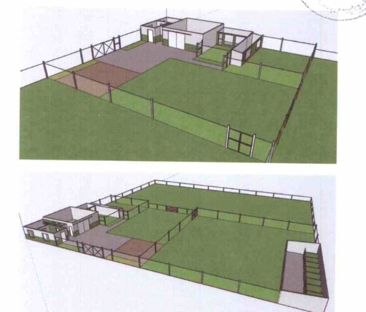 HCD: Proponen la creación del "Programa Integral Ciudadano de Vida Animal Pringlense"