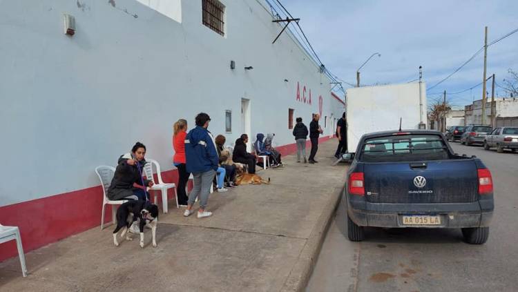 Nueva Campaña de Castraciones Masivas de perros/as en el Club Alumni