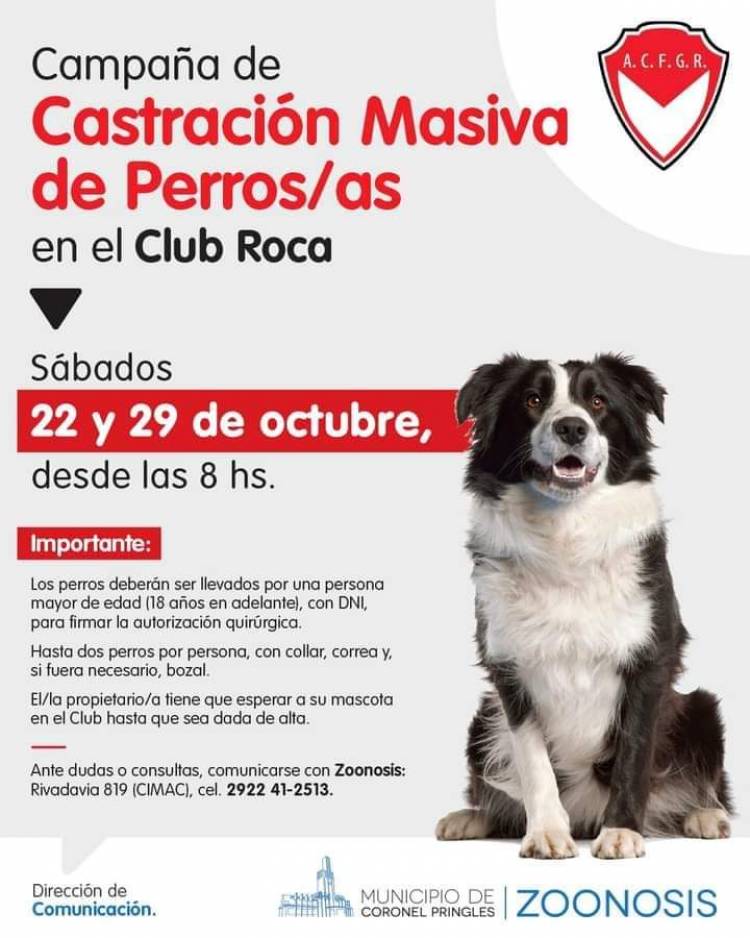El Club Roca se suma a las Campañas de castraciones masivas en clubes de nuestro distrito 