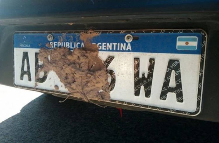 Estacionar en la vía pública sin patente o si se dificulta su visualización, será pasible de multas en Coronel Pringles