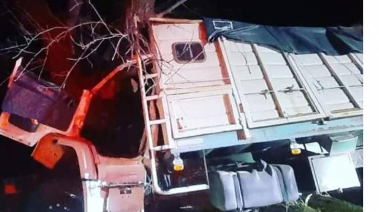 Camionero pringlense herido al chocar una planta