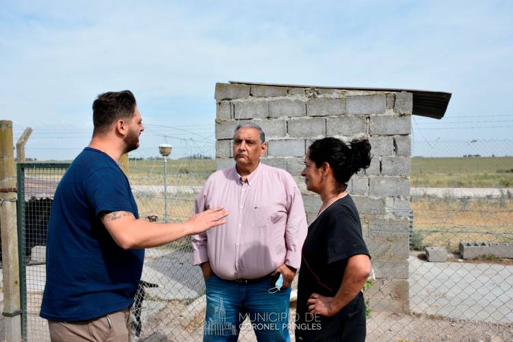 En la Oficina Administrativa del Refugio Canino se están llevando a cabo trabajos de mejoras y remodelación