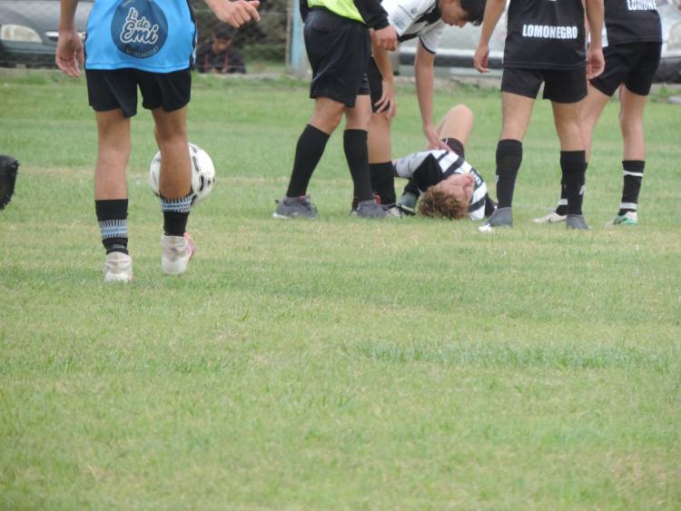 Fallos dictados por el Tribunal de Disciplina Deportiva