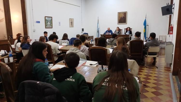 El Parlamento Juvenil del Mercosur sesionó en Pringles