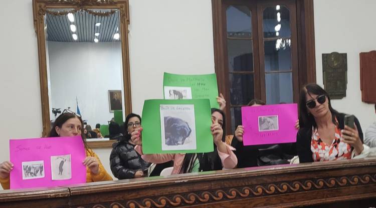 HCD: La situación del Refugio Canino se metió en la Sala Legislativa