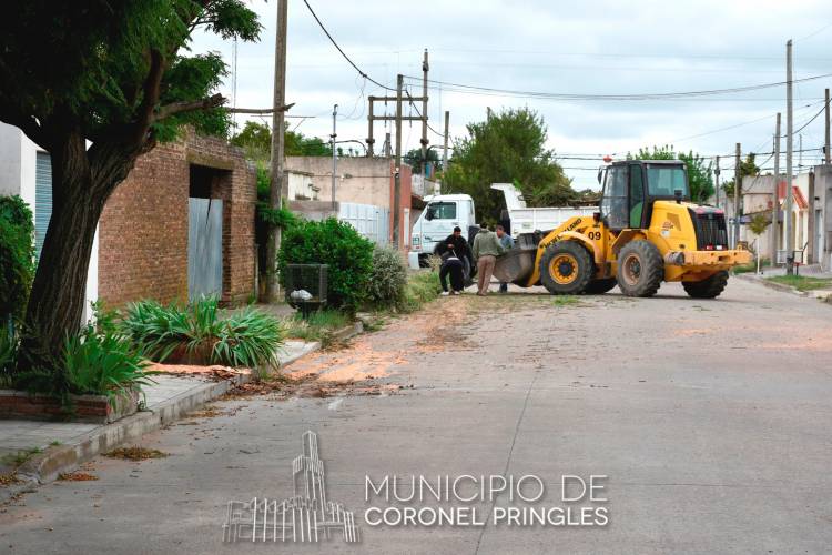 Personal municipal realiza cortes de árboles caídos y recolección de ramas