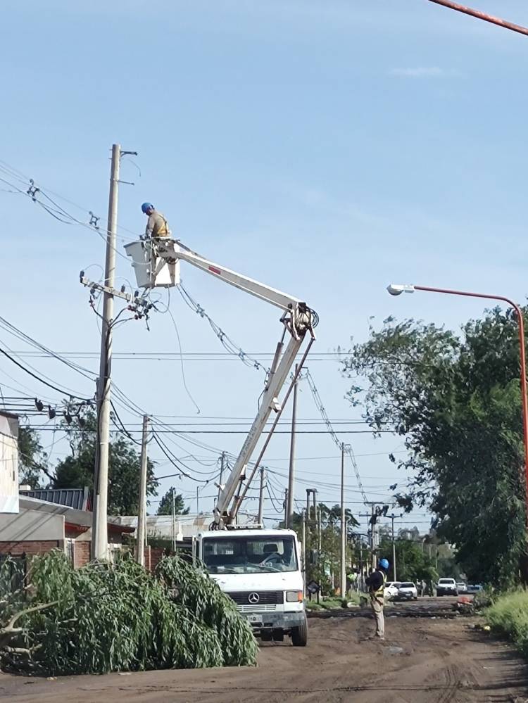Graves daños en las Cooperativas por el temporal