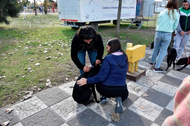 Campaña Mensual Masiva y Gratuita de Castración y Vacunación de perros/as y gatos/as