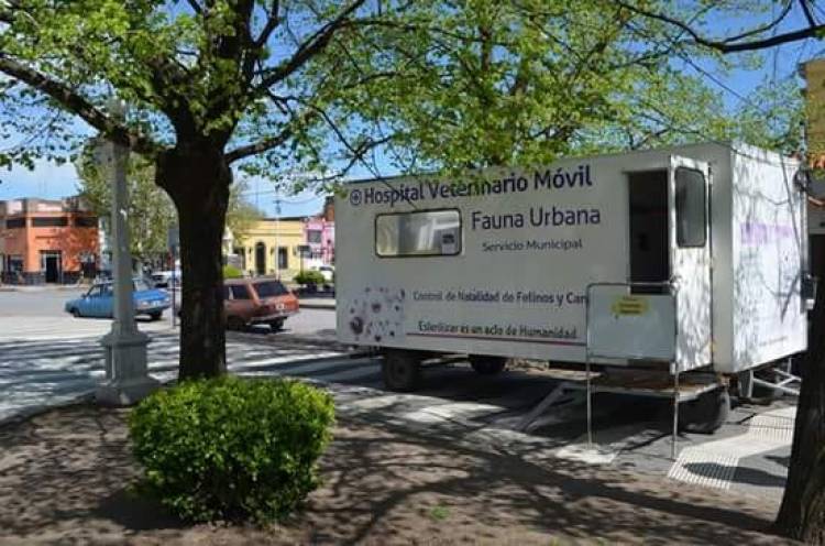 Día Mundial de la Esterilización de Animales